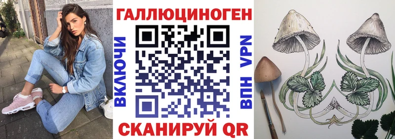 мега как войти  закладка  Мензелинск  Галлюциногенные грибы ЛСД 